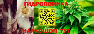 PSILOCYBIN Камышлов