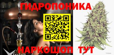 PSILOCYBIN Камышлов
