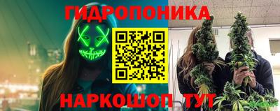 MDMA Кандалакша