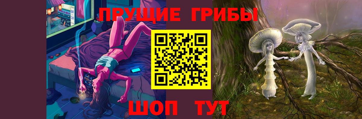 Псилоцибиновые грибы ЛСД  Вход с VPN  купить наркоту  Кимовск  Галлюциногенные грибы Psilocybe 